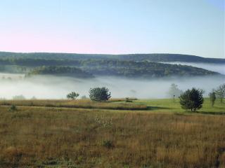 Fall Dew in DS&N Land